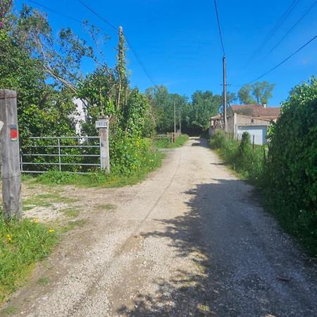 Studio En Camargue Арль Экстерьер фото