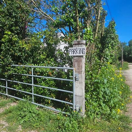 Studio En Camargue Арль Экстерьер фото